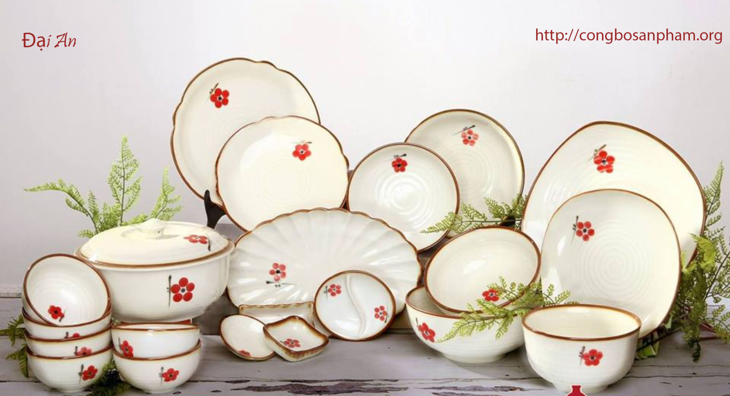 Công bố sản phẩm bát đĩa nhập khẩu